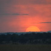  The Serengeti, TZ